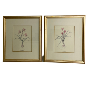 Vintage Daffodil Botanical Print