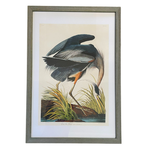Blue Heron Vintage Antique Print, Framed